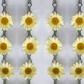 Daisies Chained by Helen Bradley
